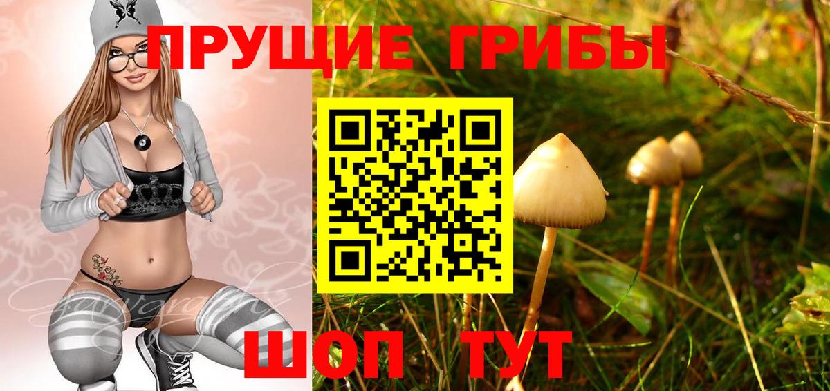 Галлюциногенные грибы Psilocybine cubensis  Вход с VPN  Джанкой 